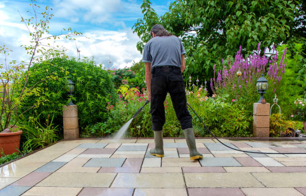 Best Sidewalk and Walkway Cleaning  in Penn Valley, CA